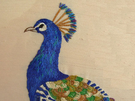 Peacock - peacock, art, blue