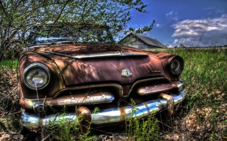 Iron Oxide - 55, rusted dodge, regent, dodge, on the farm, 1955