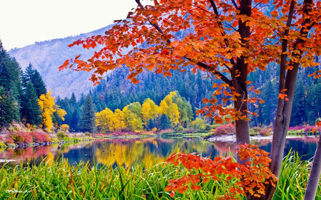 Nature's palette - colours, lake, trees, mountains