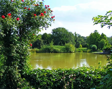 Park scene - nature, parks