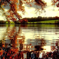 Seasonal reflection...