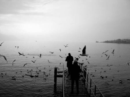 Moment of Silence - person, birds flying, black and white, pier, ocean