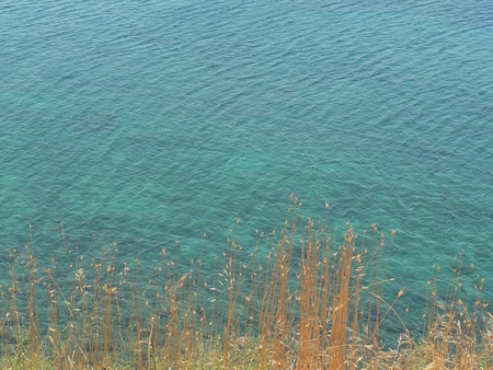 seaside grasses - water, blue, greece, sea, grass, ocean