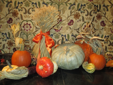 Autumn Still Life - Autumn, pumpkins, Fall, corn, gourds, still life, wheat, ribbon, Thanksgiving, bow