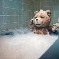 ted bear shower