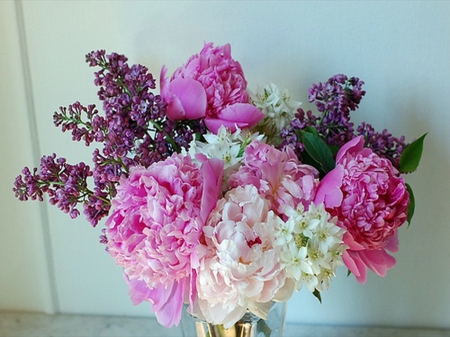 Duo of beauty - flowers, beauty, lilacs, peonies