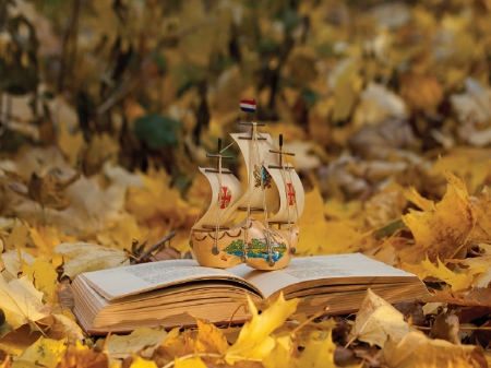 Autumn dreams - nature, autumn, leaves, book, still life, boat