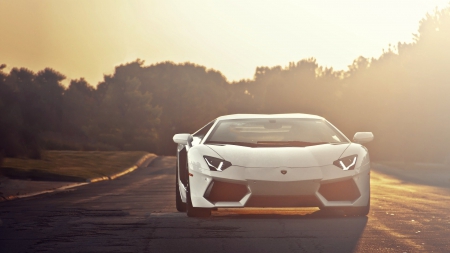 Lamborghini Aventador - Lamborghini, car, wheel, Aventador