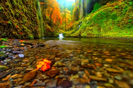 October - pretty, reflection, leaves, golden, nice, falling, branches, beautiful, mirrored, colors, lovely, tree, fall, glow, colorful, nature, autumn, october, foliage, shine