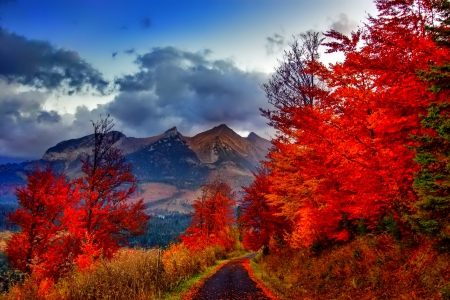 October - Tatry - Poland - falling, foliage, beautiful, leaves, october, golden, tree, nature, autumn, colorful, shine, fall, glow, pretty, mirrored, branches, reflection, tatry, nice, lovely, colors, poland