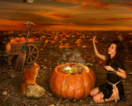 Magic spell - woman, halloween, cat, pumpkin