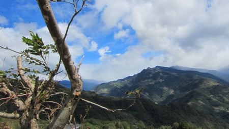 Mountain View - Mountain, blue sky, scenery, tree