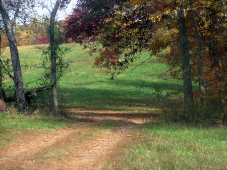 Field Gates - Pasture, Autumn, Open Fields, Nature