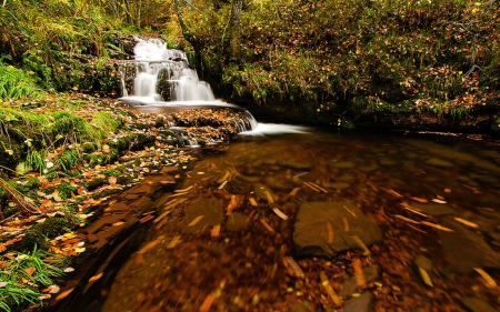 Autumn Waterfall - nature, autumn, trees, waterfall