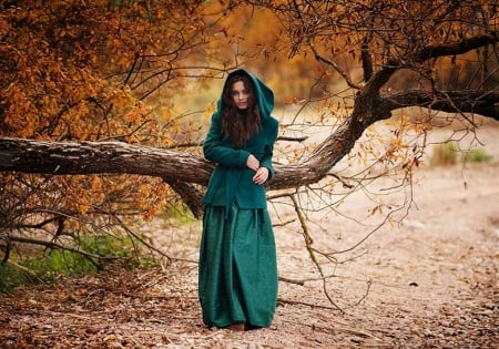 Girl - beauty, nature, autumn colors, autumn, female, photography, leaves, model