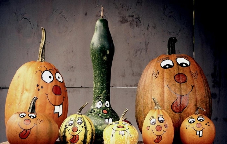 Funny Pumpkins - pumpkins, autumn, photography, funny, cute, happy