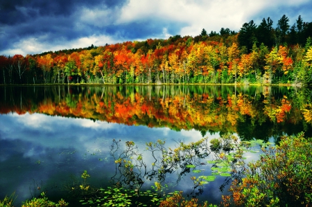 Autumn reflections - nice, sky, autumn, trees, peaceful, colorful, foliage, reflections, quiet, calmness, clouds, branches, lake, lovely, serenity, nature, forest, tranquil, beautiful, leaves