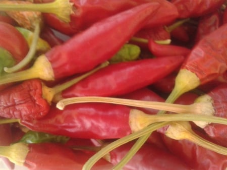 Chilli Peppers - peppers, chilli, red, chilli peppers