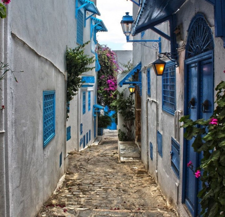 stone street - street, beauty, flowers, stones, blue, white, architecture, houses, photography