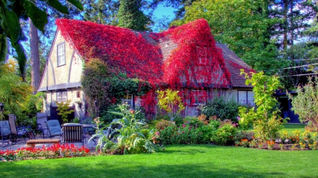 fantastic red vine covered country home hdr - house, vine, garden, red, hdr, lawn