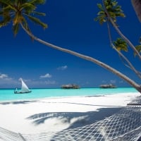 Hammock on White Sand Beach