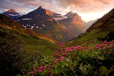 mountains - fun, flowers, mountains, nature