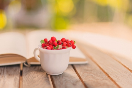 Sunny Autumn - bokeh, autumn, magic, wooden, book, cup, autumn colors, fall, splendor