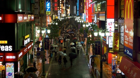 Japan Street - tokyo, street, japan, rain, people, umbrella