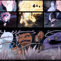 Team 7