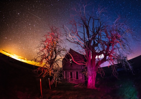 WHILE YOU WERE SCREAMING - dead trees, The Dalles, starry night, colors, night, old house