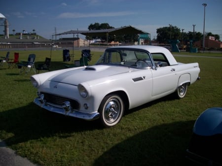 Thunderbird - white, ford, classic, whitewalls