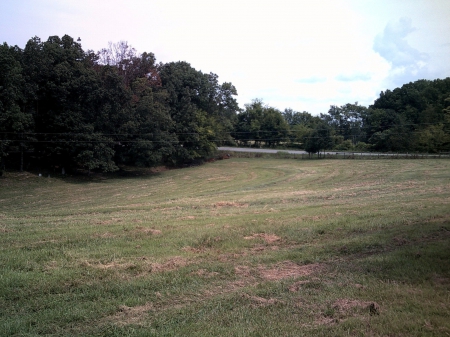 Hayfield - nature, fields, rural, country