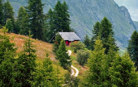 Alpine hut - hills, Alps, majestic, amazing, mountain, alpine, view, nice, hut, cottage, parh, house, greenery, trees, beautiful, slope, lovely, valley, nature