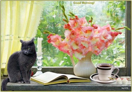 good morning - flowers, morning, cat, coffee