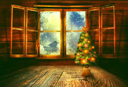 Christmas is Coming - nature, trees, snow, winter, coming, christmas