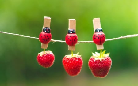 Ladybugs - strawberries, summer, ladybugs, berries, clothespins, nature, red, green, fruit