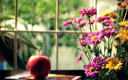 Flowers - yellow, book, window, beauty, pink, flowers, blur, red, box, apple