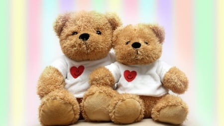 Teddy bear - photo, toy, bear, teddy bear