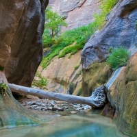 jammed log in slot canion in zion np