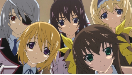 Infinite Stratos Season 2 - Houki, Ichika, Infinite, Season, Cecilia, 2, Laura, Stratos, Infinte Stratos Season 2, Tatenashi, Charl, Lingyin