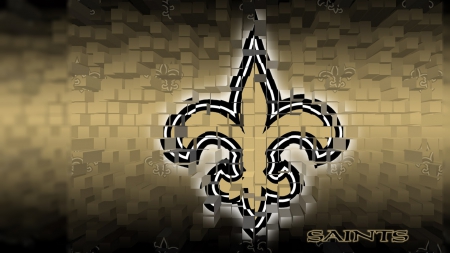 New Orleans Saints - sports, entertainment, people, football, other