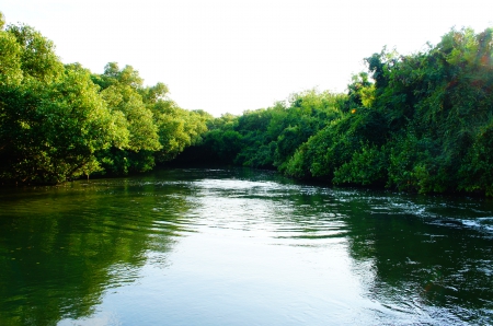 Green River - green, sky, trees, river