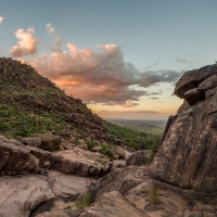 petroglyphs in beautiful gold canyon in arizona