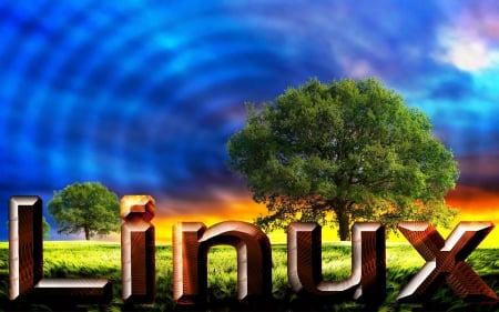 Linux - v, x, b, c