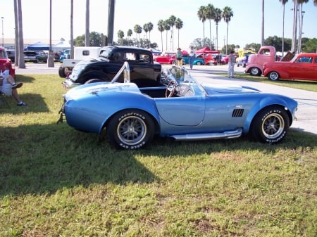 Cobra - shelby, classic, side pipes, blue