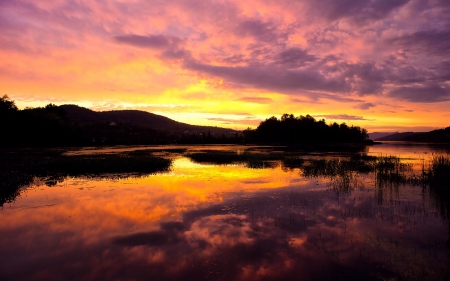 *** Sunset *** - lake, trees, nature, sunset