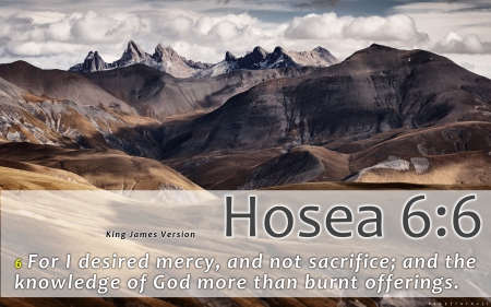 Hosea 6:6