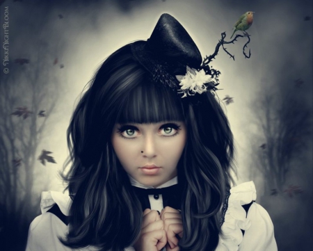 Gothic Lolita - abstract, gothic, fantasy, lolita