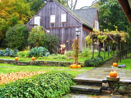 Fall Season - pumpkins, garden, house, trees