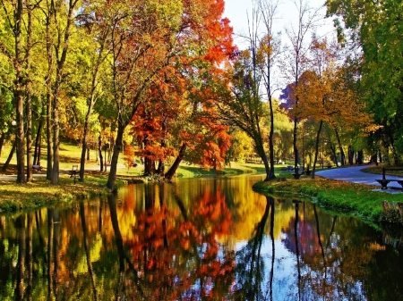 Beautiful Autumn - trees, water, lakeside, colors, reflection